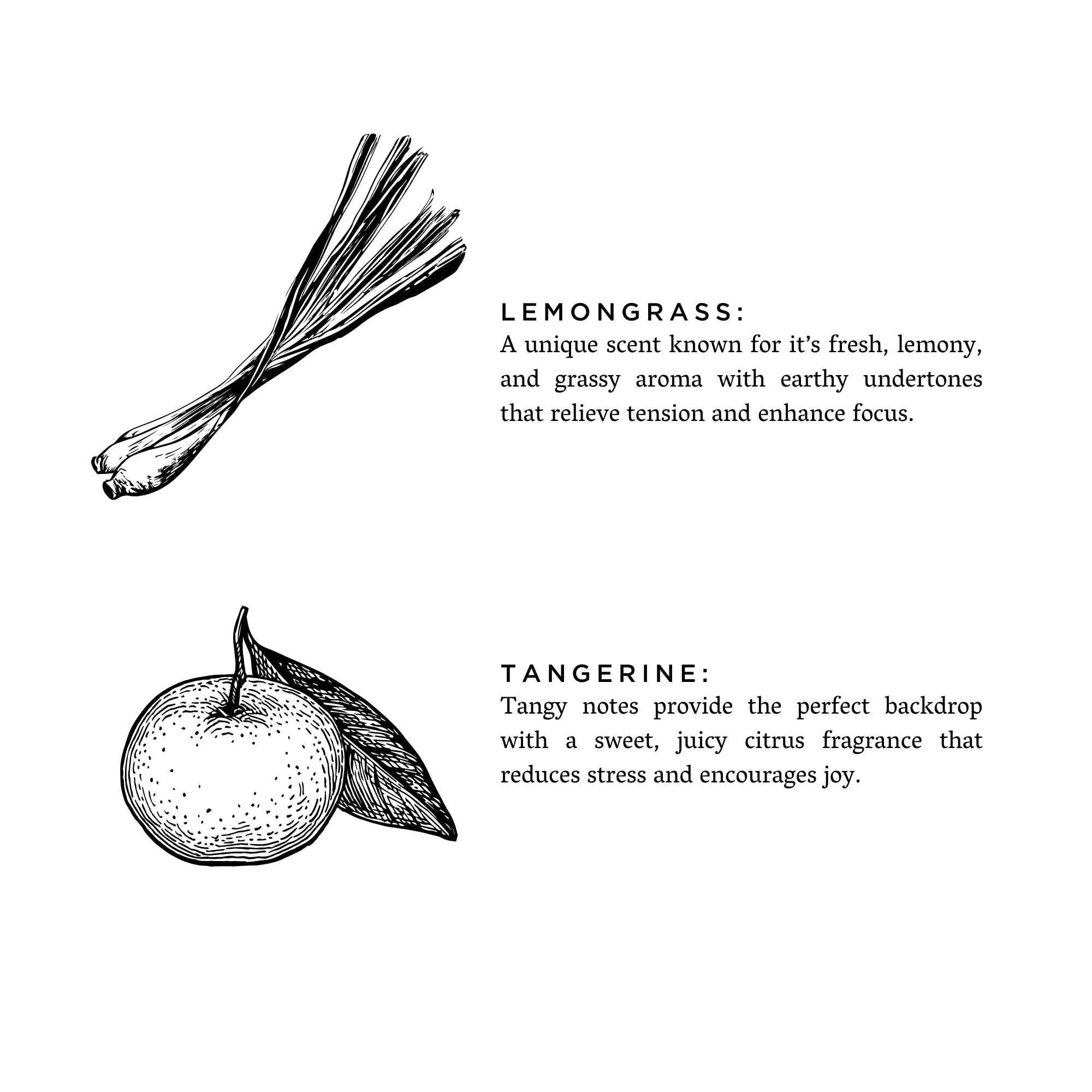 Lemongrass Tangerine Candle for Fresh and Zesty Home Fragrance - Ignara Living